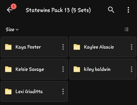 13 leaked sets Statewins VIP .